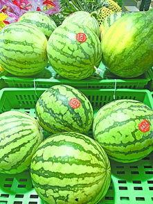 武汉最新吃瓜事件,揭秘网络热议背后的真相