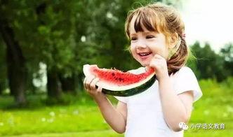 吃瓜小熊女子推理社,揭秘谜团，探寻真相的神秘之旅