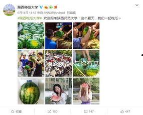 吃瓜学院更新,揭秘娱乐圈幕后真相！