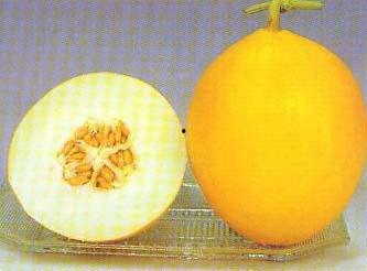 产后可以吃洋瓜吗,产后适宜食用洋瓜的饮食建议