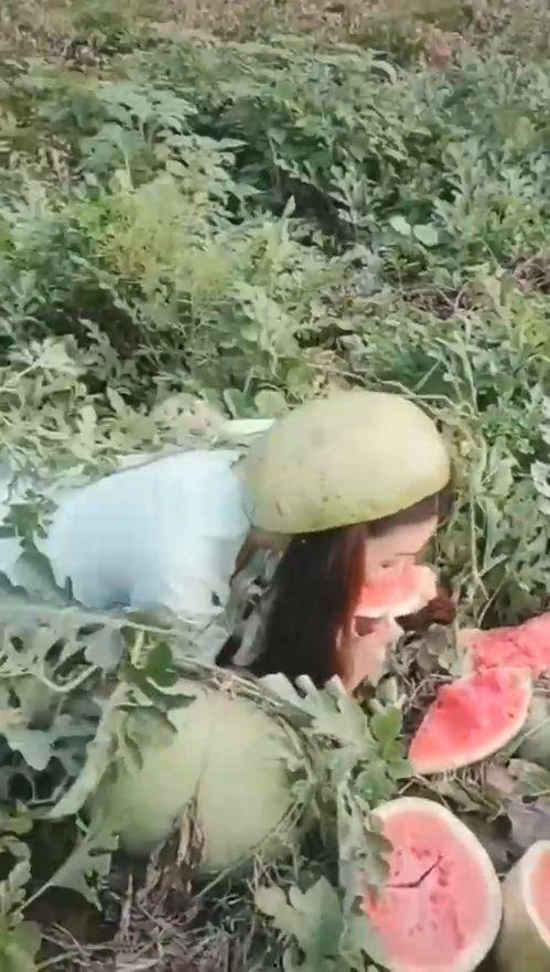 漂亮姐姐吃瓜视频,跟随漂亮姐姐一起探索娱乐圈的甜蜜秘密