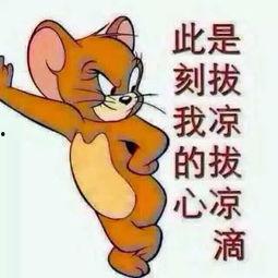 吃瓜群众图片亮点,捕捉生活中的趣味瞬间