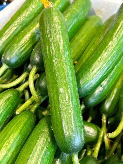 吃瓜网站小黄瓜