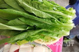 江门新会吃瓜,瓜果飘香，品味夏日田园风情