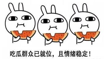 吃瓜表示比较闲吗,闲适生活下的娱乐态度