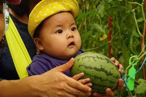 亲亲免费吃瓜群