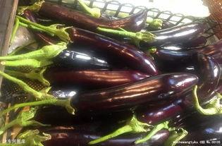 吃瓜和吃茄子有没有冲突,兼容并蓄的美食探索