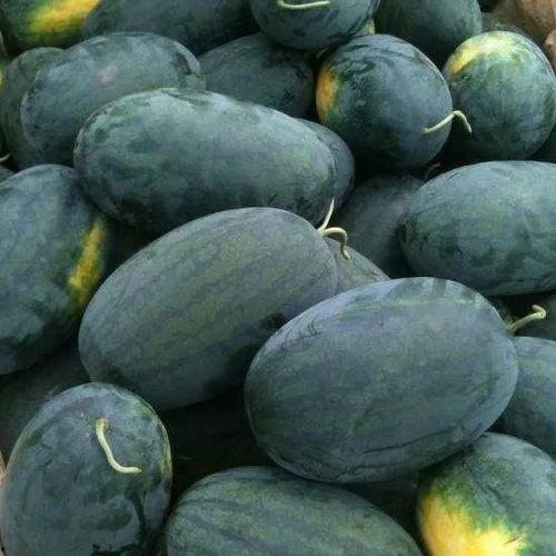 吃瓜仙桃市,探寻这座城市的瓜果传奇与人间烟火