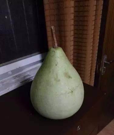 吃瓜结果摔倒了,意外事件引发的网络热议