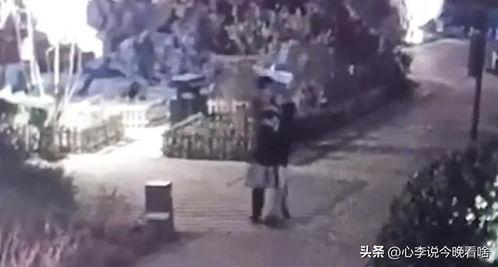 兰州老街免费吃瓜,免费吃瓜，共享清凉时光