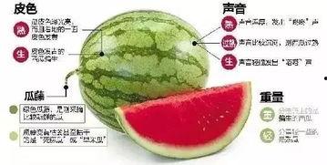 吃瓜微信免费,免费体验微信新功能，轻松成为信息达人