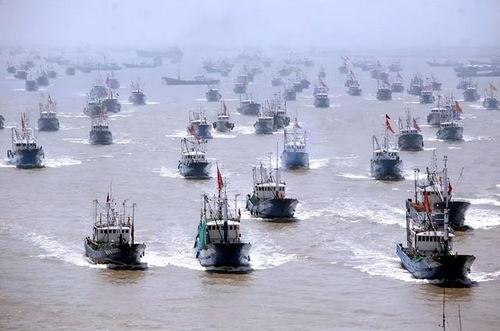 我国渔船海上吃瓜,瓜田里的辛勤耕耘与丰收喜悦