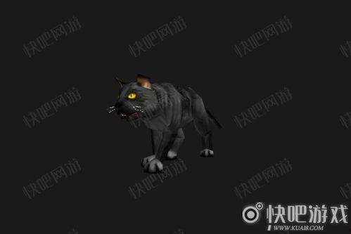 wow猫服吃瓜,揭秘魔兽世界中的“吃瓜”风云