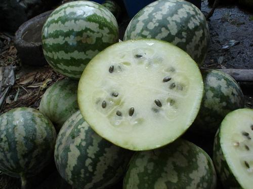 绿宝瓜怎么做着吃,创意烹饪新体验