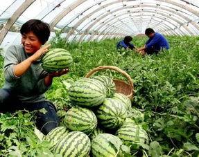 3.25痞幼吃瓜,揭秘娱乐圈幕后真相