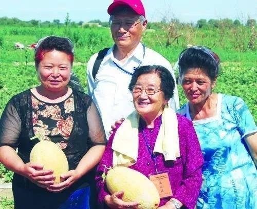 朱教授吃瓜,一场别开生面的学术与生活碰撞