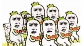 师兄测评吃瓜群众