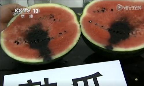 新乐吃瓜事件视频,一场网络狂欢背后的真相揭秘