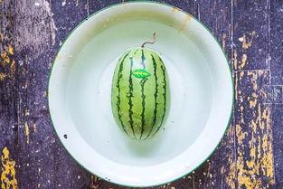 玉虎瓜怎么吃,解锁美味新体验