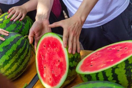 山西各校吃瓜,校园美食背后的故事与传说