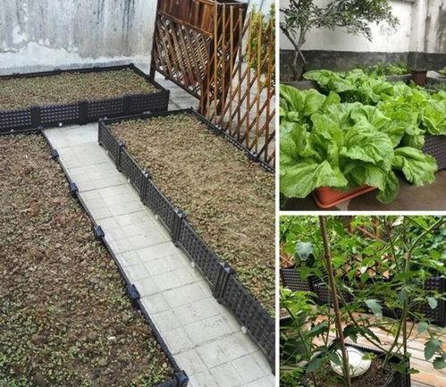 梦见在楼顶吃瓜