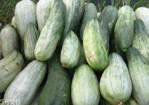 细粉瓜怎么吃,探索美味与营养的完美融合