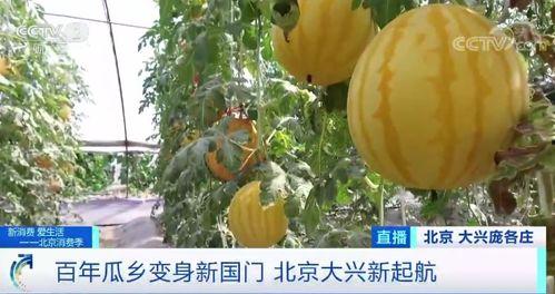 北京最新吃瓜,揭秘京城热点事件背后的故事