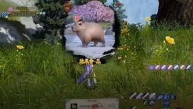 剑三吃瓜玩具,吃瓜玩具背后的江湖风云