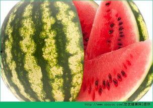 为什么天天吃瓜