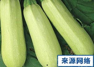 孕妇做梦吃白瓜