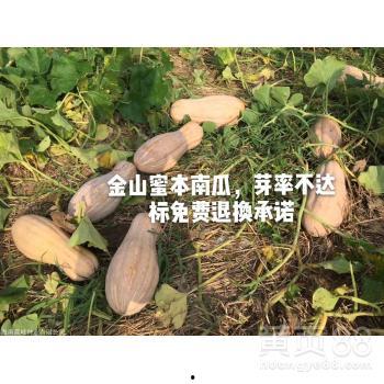 大果果吃瓜,揭秘娱乐圈那些不为人知的幕后故事